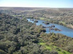 Guadiana