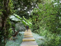 Palzoleta El Yunque