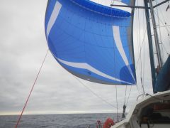 Parasailor