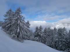 Eischoll Wallis