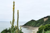 Golden Bay