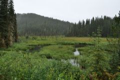 Gold Rush Back Road