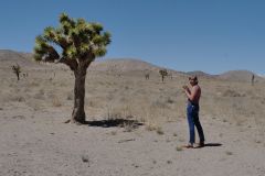 USA Nevada