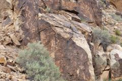 Parowan Gap Petroglyphen
