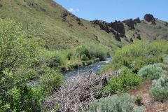 Owyhee River