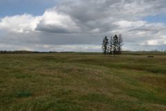 Nähe Drayton Valley