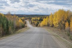 Nordegg River Road