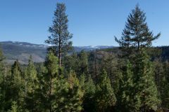 Crowsnest Hwy